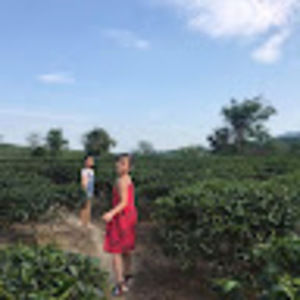 Meet your Posher, Linh